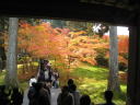 京都大原三千院 紅葉