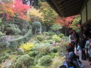 京都大原三千院　庭園